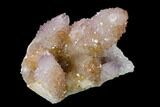 Cactus Quartz (Amethyst) Crystal Cluster - South Africa #137804-1